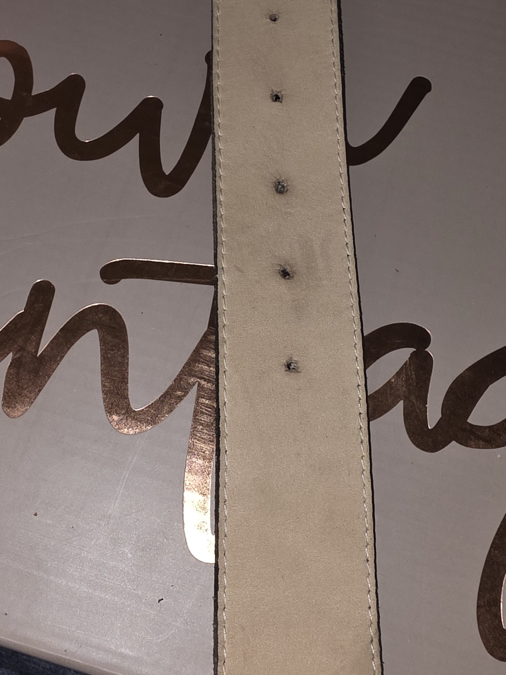 Y2K Vintage Embossed Dark Brown Leather Belt with Amber and Garnet Accents - Picture 10 of 10